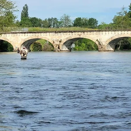 Le Cerf Au Bois Dormant