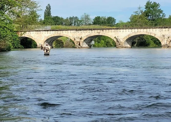 Le Cerf Au Bois Dormant
