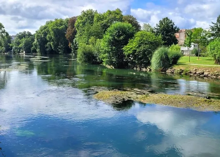 Le Cerf Au Bois Dormant *